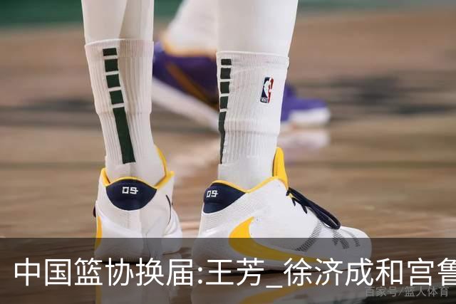 中国篮协换届:王芳 徐济成和宫鲁鸣担任副主席