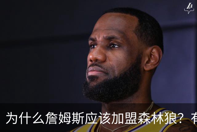 为什么詹姆斯应该加盟森林狼？有实力但非顶级队 不会被说走捷径
