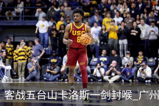 客战五台山卡洛斯一剑封喉 广州豹拿下联赛半程冠军