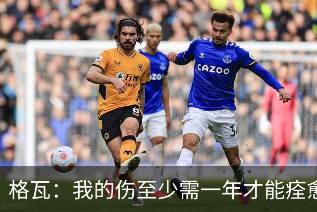 格瓦：我的伤至少需一年才能痊愈，即使感到疼痛也必须克服它