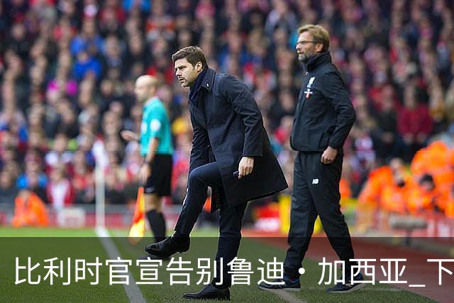 比利时官宣告别鲁迪·加西亚 下一任主帅是荷兰人？