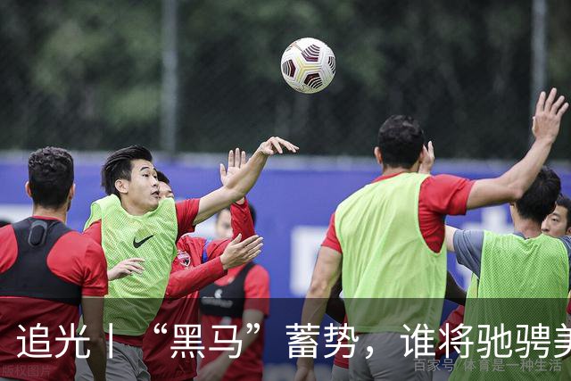 追光丨“黑马”蓄势，谁将驰骋美加墨？